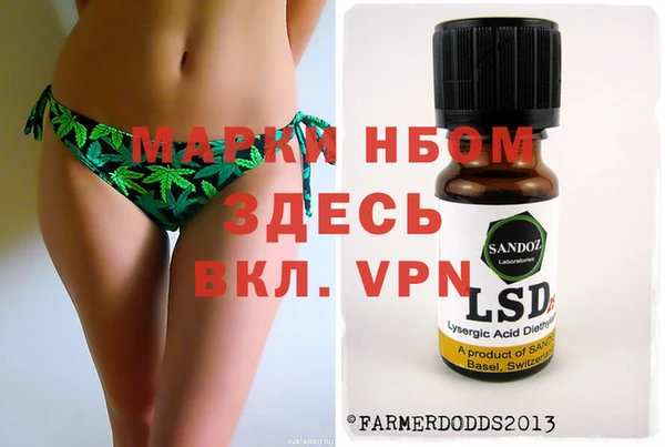 индика Алзамай