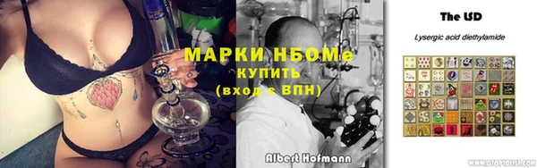 индика Алзамай