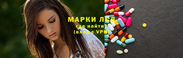 индика Алзамай