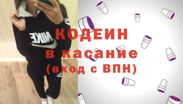 индика Алзамай
