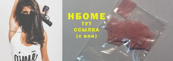индика Алзамай