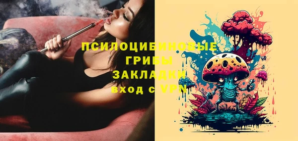 дживик Горнозаводск