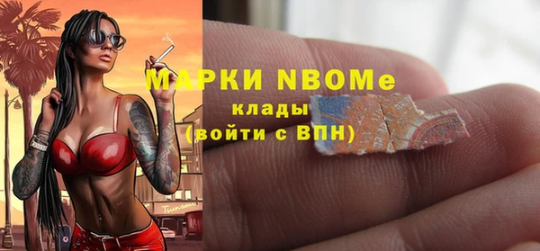 индика Алзамай