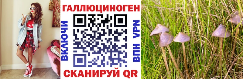 Псилоцибиновые грибы GOLDEN TEACHER где купить наркотик omg tor Закаменск